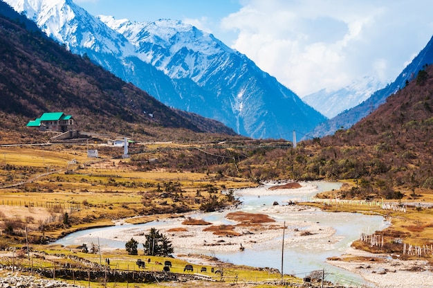 Sikkim