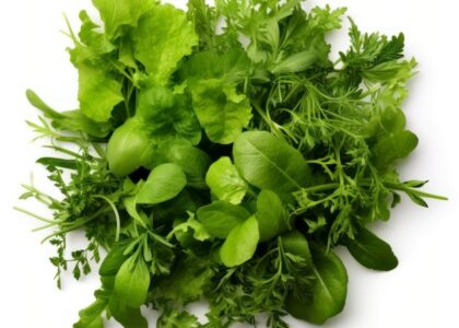 Herbs sallad