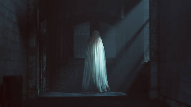 Midnight Encounter