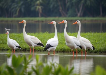 Assam become next big tourism place