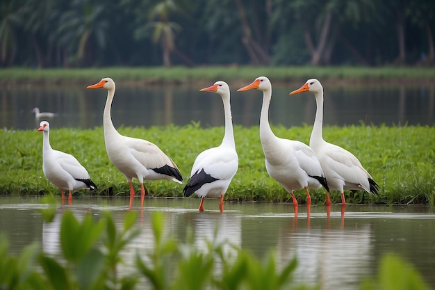 Assam become next big tourism place