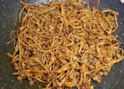 Ker Sangri